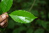  ( - BioBot00132)  @11 [ ] Copyright (2010) Unspecified Unspecified