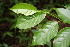  ( - BioBot00133)  @11 [ ] Copyright (2010) Unspecified Unspecified