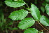  ( - BioBot00133)  @11 [ ] Copyright (2010) Unspecified Unspecified