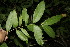 ( - BioBot00150)  @11 [ ] Copyright (2010) Unspecified Unspecified