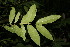  ( - BioBot00150)  @11 [ ] Copyright (2010) Unspecified Unspecified