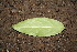 ( - BioBot00150)  @11 [ ] Copyright (2010) Unspecified Unspecified