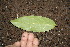  ( - BioBot00150)  @11 [ ] Copyright (2010) Unspecified Unspecified