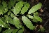  ( - BioBot00151)  @11 [ ] Copyright (2010) Unspecified Unspecified