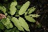  ( - BioBot00151)  @11 [ ] Copyright (2010) Unspecified Unspecified