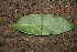  ( - BioBot00151)  @11 [ ] Copyright (2010) Unspecified Unspecified