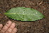  ( - BioBot00151)  @11 [ ] Copyright (2010) Unspecified Unspecified