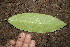  ( - BioBot00151)  @11 [ ] Copyright (2010) Unspecified Unspecified