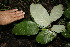  ( - BioBot00154)  @11 [ ] Copyright (2010) Unspecified Unspecified