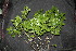  ( - BioBot00157)  @11 [ ] Copyright (2010) Unspecified Unspecified
