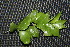  ( - BioBot00157)  @11 [ ] Copyright (2010) Unspecified Unspecified