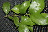  ( - BioBot00157)  @11 [ ] Copyright (2010) Unspecified Unspecified