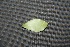  ( - BioBot00157)  @11 [ ] Copyright (2010) Unspecified Unspecified