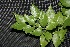  ( - BioBot00158)  @11 [ ] Copyright (2010) Unspecified Unspecified