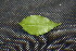  ( - BioBot00158)  @11 [ ] Copyright (2010) Unspecified Unspecified