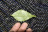  ( - BioBot00158)  @11 [ ] Copyright (2010) Unspecified Unspecified