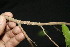  ( - BioBot00158)  @11 [ ] Copyright (2010) Unspecified Unspecified