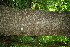  ( - BioBot00169)  @11 [ ] Copyright (2010) Unspecified Unspecified