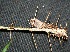  ( - BioBot00208)  @11 [ ] Copyright (2010) Unspecified Unspecified