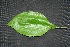  ( - BioBot00210)  @11 [ ] Copyright (2010) Unspecified Unspecified