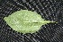 ( - BioBot00210)  @11 [ ] Copyright (2010) Unspecified Unspecified