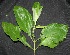  ( - BioBot00210)  @11 [ ] Copyright (2010) Unspecified Unspecified