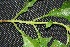  ( - BioBot00210)  @11 [ ] Copyright (2010) Unspecified Unspecified