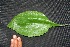 ( - BioBot00210)  @11 [ ] Copyright (2010) Unspecified Unspecified