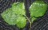  ( - BioBot00211)  @11 [ ] Copyright (2010) Unspecified Unspecified