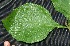 ( - BioBot00211)  @11 [ ] Copyright (2010) Unspecified Unspecified