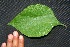  ( - BioBot00212)  @11 [ ] Copyright (2010) Unspecified Unspecified