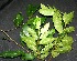  ( - BioBot00217)  @11 [ ] Copyright (2010) Unspecified Unspecified