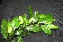  ( - BioBot00217)  @11 [ ] Copyright (2010) Unspecified Unspecified