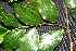  ( - BioBot00217)  @11 [ ] Copyright (2010) Unspecified Unspecified