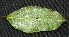  ( - BioBot00217)  @11 [ ] Copyright (2010) Unspecified Unspecified