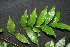  ( - BioBot00220)  @11 [ ] Copyright (2010) Unspecified Unspecified