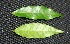  ( - BioBot00220)  @11 [ ] Copyright (2010) Unspecified Unspecified