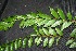  ( - BioBot00221)  @11 [ ] Copyright (2010) Unspecified Unspecified