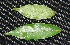  ( - BioBot00221)  @11 [ ] Copyright (2010) Unspecified Unspecified
