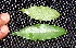  ( - BioBot00221)  @11 [ ] Copyright (2010) Unspecified Unspecified