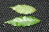  ( - BioBot00221)  @11 [ ] Copyright (2010) Unspecified Unspecified