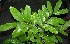  ( - BioBot00223)  @11 [ ] Copyright (2010) Unspecified Unspecified