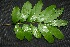  ( - BioBot00223)  @11 [ ] Copyright (2010) Unspecified Unspecified