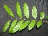  ( - BioBot00224)  @11 [ ] Copyright (2010) Unspecified Unspecified