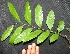  ( - BioBot00224)  @11 [ ] Copyright (2010) Unspecified Unspecified