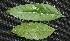  ( - BioBot00224)  @11 [ ] Copyright (2010) Unspecified Unspecified