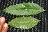  ( - BioBot00224)  @11 [ ] Copyright (2010) Unspecified Unspecified