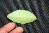  ( - BioBot00231)  @11 [ ] Copyright (2010) Unspecified Unspecified