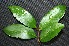  ( - BioBot00232)  @11 [ ] Copyright (2010) Unspecified Unspecified