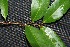  ( - BioBot00232)  @11 [ ] Copyright (2010) Unspecified Unspecified